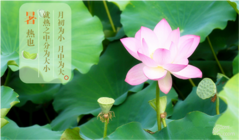 暑臻三伏醉難熬，拭汗揮巾似雨飄——鐵絲成型機(jī)